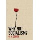 Why Not Socialism?