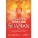 Awakening Your Inner Shaman: A Woman's Journey of Self-Discovery through the Medicine Wheel