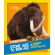 Everything: Stone Age to Iron Age: Go Hunting for Facts, Photos and Fun!