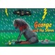 George and the Storm