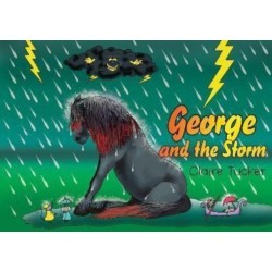 George and the Storm