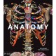 Anatomy: Exploring the Human Body
