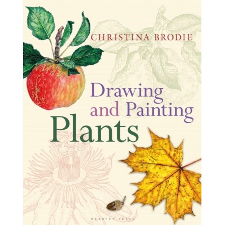 Drawing and Painting Plants