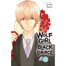 Wolf Girl and Black Prince, Vol. 11