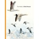 The Book of Bird Poems