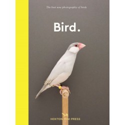 Bird.: The best new photography of birds