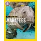 Face to Face with Manatees: Level 5