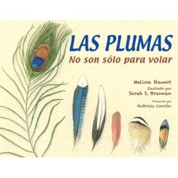 Las plumas: No son solo para volar