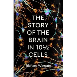 The Story of the Brain in 10½ Cells