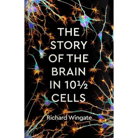 The Story of the Brain in 10½ Cells