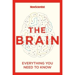 The Brain: Everything You Need to Know