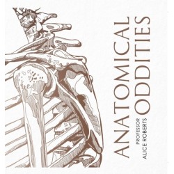 Anatomical Oddities