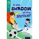Oxford Reading Tree TreeTops Fiction: Level 16: In the Shadow of the Striker