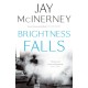 Brightness Falls
