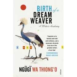 Birth of a Dream Weaver: A Writer’s Awakening