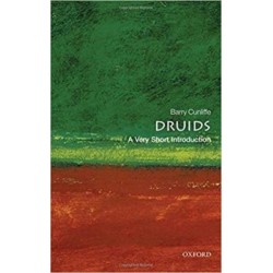 Druids: A Very Short Introduction