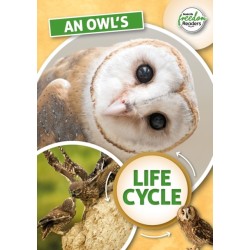 An Owl's Life Cycle