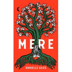 Mere: The Darkly Atmospheric Historical Fiction Debut of 2025