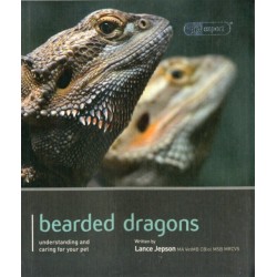 Bearded Dragon - Pet Expert