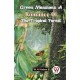 Green Mansions a Romance of the Tropical Forest