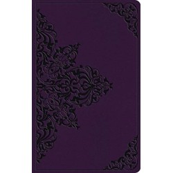 ESV Large Print Value Thinline Bible