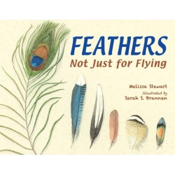 Feathers: Not Just for Flying