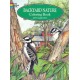 Backyard Nature Coloring Book