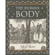The Human Body