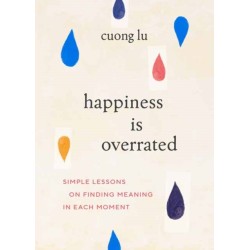 Happiness Is Overrated: Simple Lessons on Finding Meaning in Each Moment