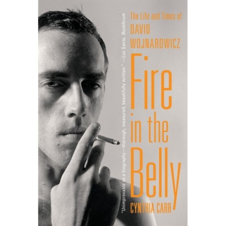 Fire in the Belly: The Life and Times of David Wojnarowicz