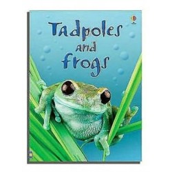 Tadpoles and Frogs