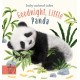 Goodnight, Little Panda: A book about fussy eating