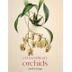 Extraordinary Orchids