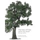 The Story of Trees: And How They Changed the Way We Live