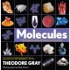 Molecules: The Elements and the Architecture of Everything