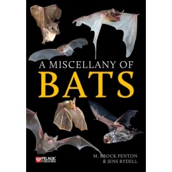 A Miscellany of Bats