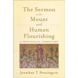 The Sermon on the Mount and Human Flourishing: A Theological Commentary