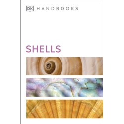 Shells