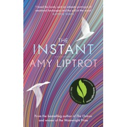 The Instant: Sunday Times Bestseller