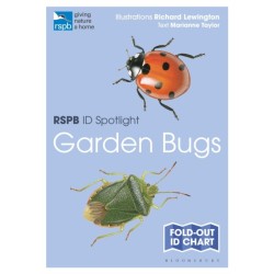 RSPB ID Spotlight - Garden Bugs