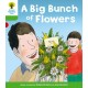 Oxford Reading Tree: Level 2 More a Decode and Develop a Big Bunch of Flowers