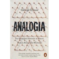 Analogia: The Entangled Destinies of Nature, Human Beings and Machines