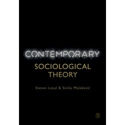Contemporary Sociological Theory