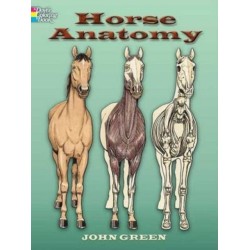 Horse Anatomy Coloring Book