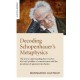 Decoding Schopenhauer’s Metaphysics: The key to understanding how it solves the hard problem of consciousness and the paradoxes of quantum mechanics