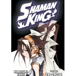 SHAMAN KING Omnibus 10 (Vol. 28-30)