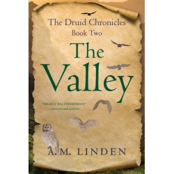 The Valley: The Druid Chronicles, Book Two