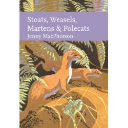 Stoats, Weasels, Martens and Polecats