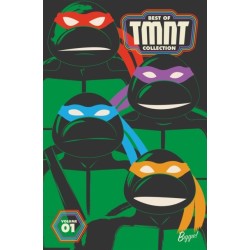 Best of Teenage Mutant Ninja Turtles Collection, Vol. 1