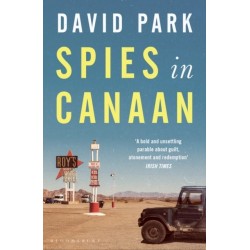 Spies in Canaan: 'One of the most powerful and probing novels so far this year' - Financial Times, Best summer reads of 2022